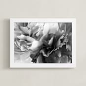 "Honeyed" - Art Print in Shadow by Karen Kaul - Framed