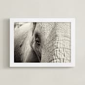 "Hadari" - Art Print in Black and White by Sara Heilwagen - Framed