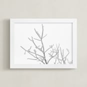 "Frost 4" - Art Print in black & white by Ardell McLennan - Framed