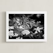 "Painted Lady" - Art Print in Black by Donna Rosser - Framed