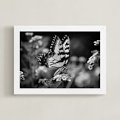 "Tiger Swallowtail" - Art Print in black by Donna Rosser - Framed