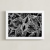 "BW Leaves" - Art Print in black by Alexis Arnold - Framed