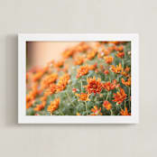 "Fall Mums" - Art Print in Fall by Erin Niehenke - Framed