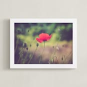 "Red Poppy Flower" - Art Print in khaki, smoky green, red by Lying on the grass - Framed