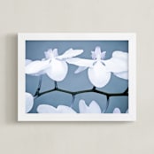 "Orchid Wings" - Art Print in violet by Debra Butler - Framed