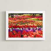 "Garden Full of Springtime" - Art Print in tulip red orange by Sea and Sky - Framed