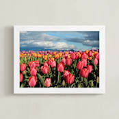 "Tulip Gardens" - Art Print in pink tulips by Sea and Sky - Framed