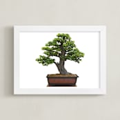 "bonsai" - Art Print in green by Ramoncita - aticnomar - Framed