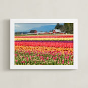 "Classic Tulip Town" - Art Print in tulip red  by Sea and Sky - Framed