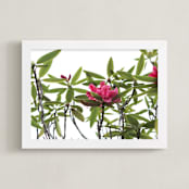 "SPRING TIME IN BLOOM, GOLDEN GATE PARK." - Art Print in Pashion Flower by Thom.Club - Framed