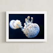 "Blue and White Jellyfish" - Art Print in Bright Blue by Gray Star Design - Framed