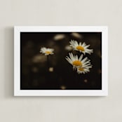 "Daisy Dreams" - Art Print in Dandelion Yellow by Hollie Renner Photography - Framed