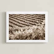 "Vineyard Seasons: June  No. 1" - Art Print in Warm Sepia by Shannon Howard - Framed