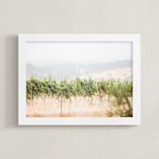 "Sonoma Morning No. 1" - Art Print in Summer Vine by Shannon Howard - Framed