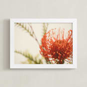 "Protea 4" - Art Print in tangerine by Kamala Nahas - Framed