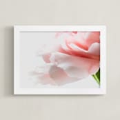 "Delicate in Pink" - Art Print in Soft Pink by Kate Dailey - Framed
