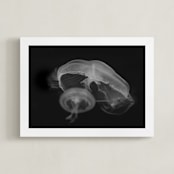 "Graceful Jelly" - Art Print in Smolder Black by Hollie Renner Photography - Framed