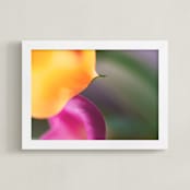 "Petal Love" - Art Print in Magenta by Kate Dailey - Framed