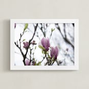 "Sugar Magnolia" - Art Print in Magnolia Pink by Karen Kaul - Framed