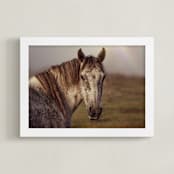 "Gazing Beauty" - Art Print in Toasty by Hollie Renner Photography - Framed