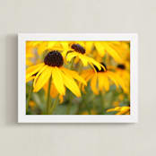 "Happy Sunflowers" - Art Print in Sunshine by Karen Kaul - Framed