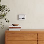 "Wild Oak" - Art Print in Slate gray by Lindsay Ferraris Photography - In a Room