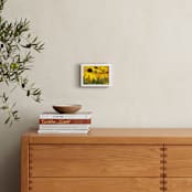 "Happy Sunflowers" - Art Print in Sunshine by Karen Kaul - In a Room