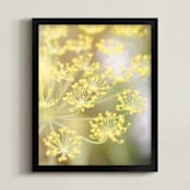 "Field of Yellow" - Art Print in soft yellow by Alexis Arnold - Framed