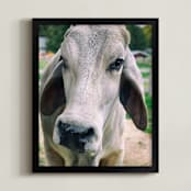 "Brahman " - Art Print in grey by Alexis Arnold - Framed