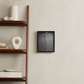 "@ Springtime" - Art Print in Stainless Steel by Margaret Williams - In a Room
