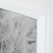 "Gossamer" - Art Print in Mist by Lindsay Ferraris Photography - Frame Close-up