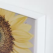 "Half Sunflower" - Art Print in soft yellow by Alexis Arnold - Frame Close-up