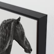 "Dark Horse" - Art Print in Black Onyx by Irene Suchocki - Frame Close-up