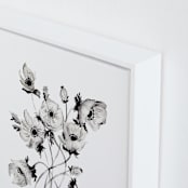 "Greyscale Poppies" - Art Print in greyscale by Shannon Kirsten - Frame Close-up