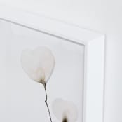 "Mokuren 02" - Art Print in Soft Peach by jinseikou - Frame Close-up