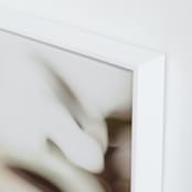 "ficus II" - Art Print in Cream by Anastasia Makarova - Frame Close-up