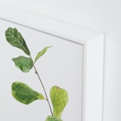 "Clipping" - Art Print in summer green by Monica Loos - Frame Close-up