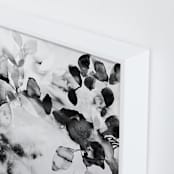 "Flora in B+W" - Art Print in Black and White by Marta Spendowska - Frame Close-up