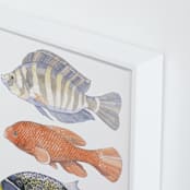 "Three Fish" - Art Print in tangerine by Natalie Groves - Frame Close-up