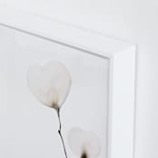 "Mokuren 02" - Art Print in Soft Peach by jinseikou - Frame Close-up