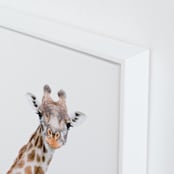 "Tarangire" - Art Print in Fur by Lisa Sundin - Frame Close-up