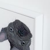 "Blue Frenchie" - Art Print in blue-ish by Deborah Chou - Frame Close-up