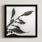 "Organic Pod" - Art Print in Shadow by Pamela Viola - Framed