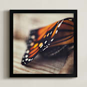 "Monarch Study #2" - Art Print in Monarch Orange by Stacy Kron - Framed