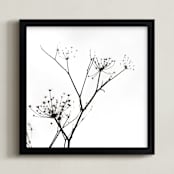 "Graphic Elements of Nature" - Art Print in Black  by Alexis Arnold - Framed