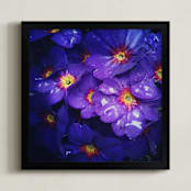 "Spring Noir 2" - Art Print in Royal by Sarah Johnson - Framed
