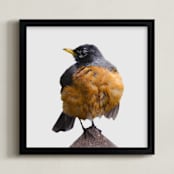 "Wet Bird" - Art Print in Tangerine by Johanna Phillips Huuva - Framed
