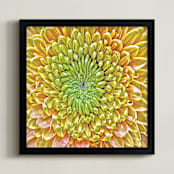 "Mum's the Word" - Art Print in Yellow-Green Mum by Mariecor Agravante - Framed