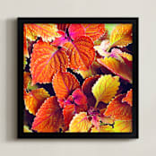 "Fall's Blush" - Art Print in Pumpkin Pie by Sarah Johnson - Framed