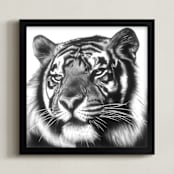 "Tiger" - Art Print in Graphite Gray by Jerry Winick - Framed